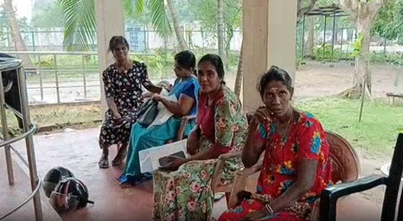 கிளிநொச்சியில் அழிவடைந்த கால்நடைகள் - மக்களின் வாழ்வாதாரம் பாதிப்பு!