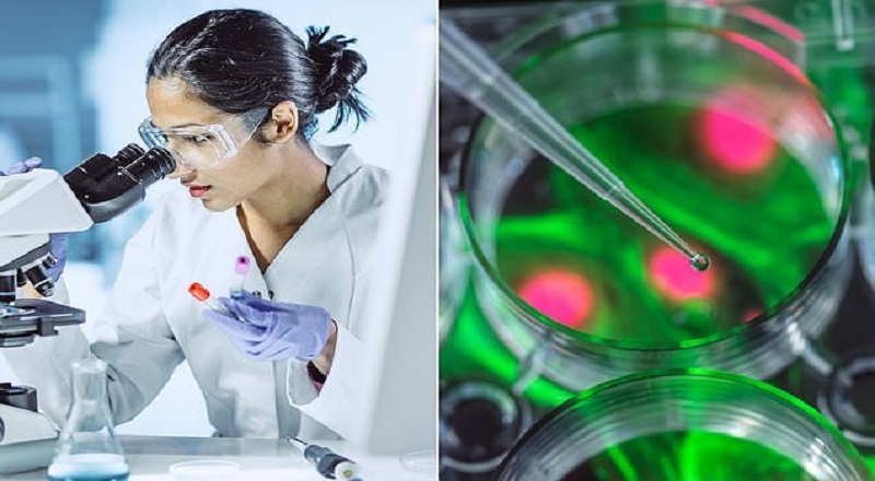 வாய் மூலம் பரவும் பாக்டீரியாவால்  புற்றுநோய் ஏற்படும் அபாயம்!