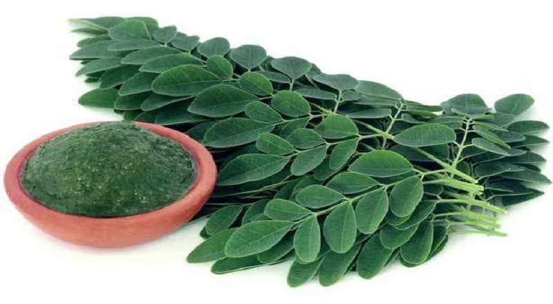 முருங்கைக்கீரையை  தினமும் எடுத்துக்கொள்வதால் கிடைக்கும் நன்மைகள்!