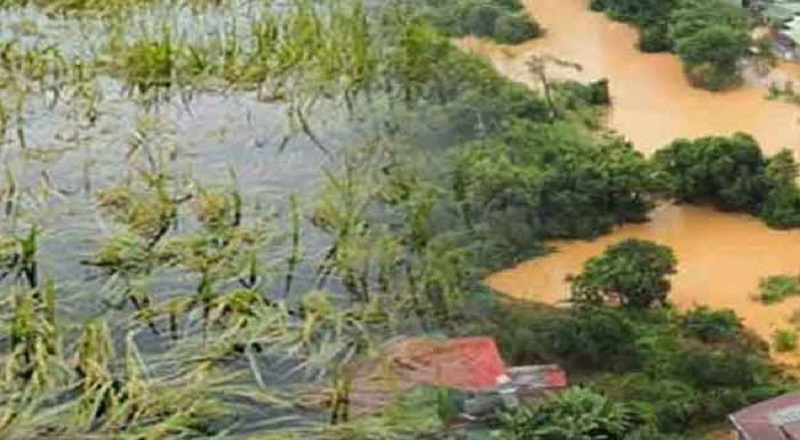 டிட்வா சூறாவளி தாக்கம் - இழப்பீடு வழங்குவதற்கான அறிக்கை சமர்ப்பிப்பு!