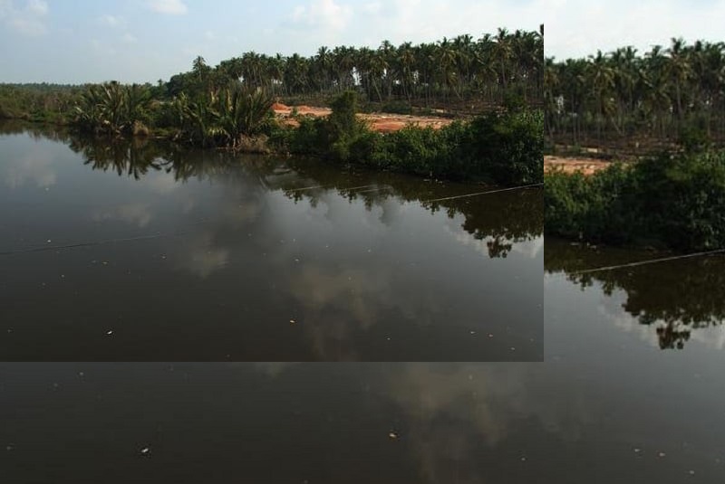 காதலனுக்கு அழைப்பெடுத்து விட்டு யுவதி ஒருவர்  ஆற்றில் குதிப்பு!