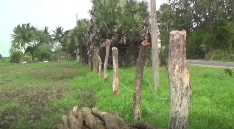 யாழில் கடற்படையினரால் சுவீகரிக்கப்படவுள்ள காணிகள்: தடுத்து நிறுத்த அழைப்பு