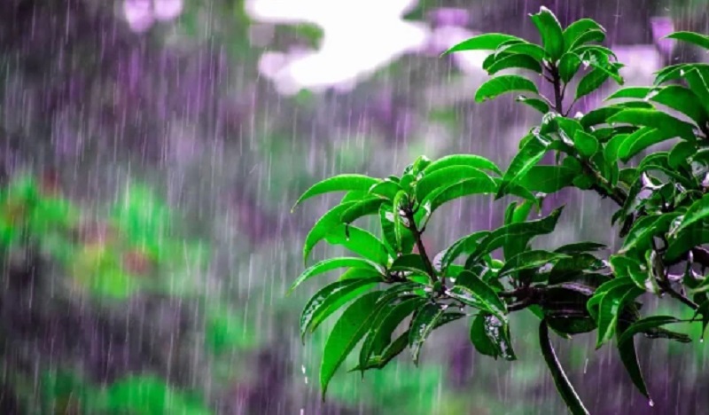 இலங்கையின் வானிலையில் இன்று முதல் மாற்றம்!