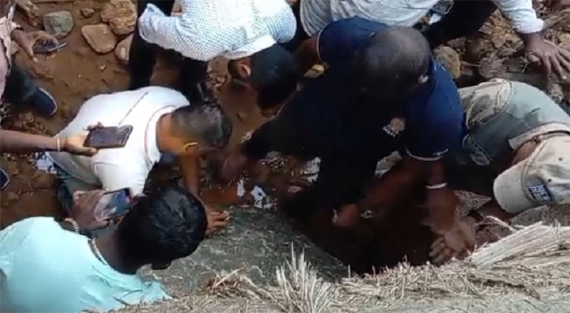 கண்டியில் கண்டுப்பிடிக்கப்பட்ட நீல நிற இரத்தினக் கல் குறித்து வெளியான தகவல்!