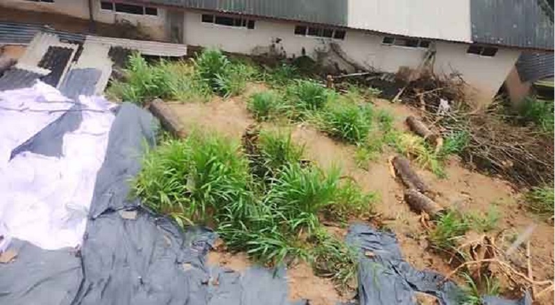 பதுளையில் பாடசாலையொன்றுக்கு அருகே மண்சரிவு அபாயம் - அதிகாரிகள் ஆய்வு!