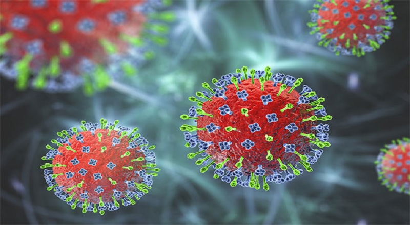 நிபா வைரஸ் தொற்று குறித்து பொதுமக்கள் பீதி அடைய வேண்டாம் - வைத்தியர்கள் நம்பிக்கை!