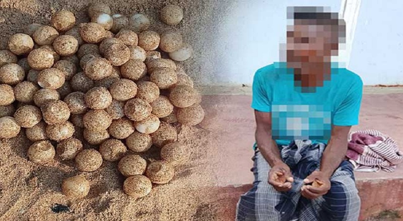 திருகோணமலையில் 117 ஆமை முட்டைகளுடன் நபர் ஒருவர் கைது!