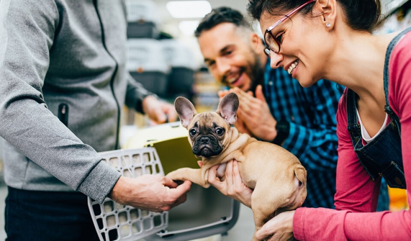 பிரான்சில் மூன்று ஆண்டுகள் சிறை - 40,000 யூரோ அபராதம்