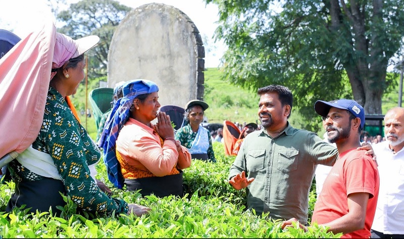 மலையக மக்கள் துயர் துடைக்க படுகிறதா? மக்களின் வேண்டுகோள் நிறைவேறுகிறதா?