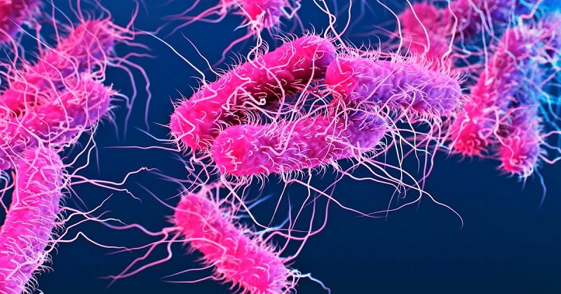 பிரித்தானியாவில் வேகமாக பரவி வரும் தொற்று நோய்