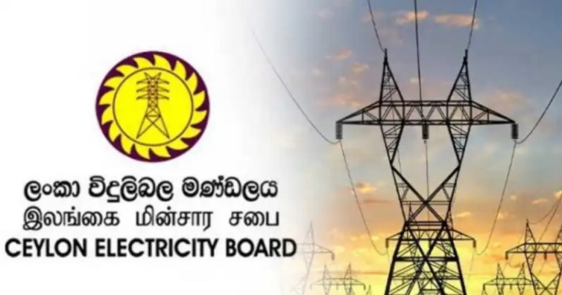 ஆறு அரச நிறுவனங்களாக பிரிக்கப்பட்ட இலங்கை மின்சார சபை