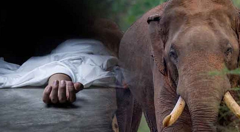 காட்டுயானைத் தாக்குதல் - தந்தை, மகள் பலி!