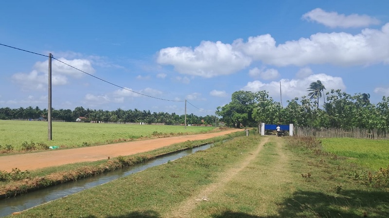 கிளிநொச்சியில் வயல் மற்றும் வீட்டு காணி விற்பனைக்கு