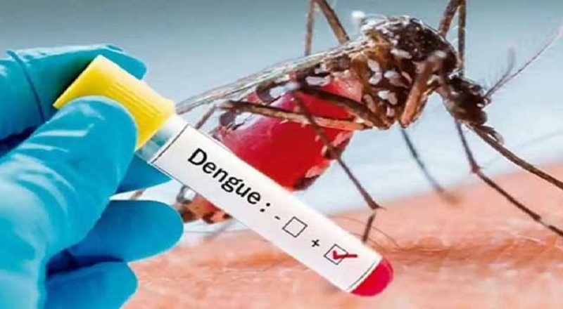 டெங்கு நோயாளிகளின் எண்ணிக்கை 46 ஆயிரத்தைக் கடந்தது!