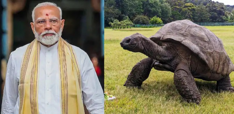 உலகின் மிகப் பழமையான விலங்கை சந்திக்க உள்ள பிரதமர் மோடி