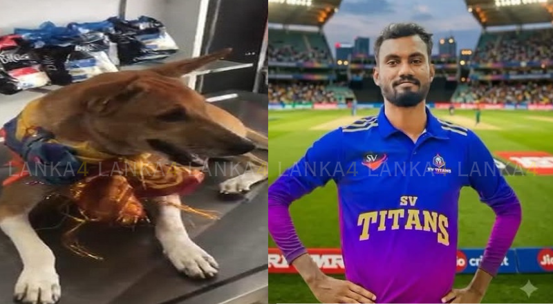 சவுதியில் முகமது நபியை அவமதித்த இலங்கை இளைஞன் - இது குறித்த முகநூல் வாசகரின் கருத்து