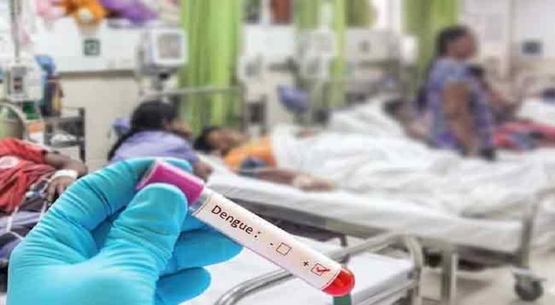 மேல் மாகாணத்தில் டெங்கு தொற்றாளர்களால் நிரம்பி வழியும் வைத்தியசாலைகள் : மரணங்கள் அதிகரிக்கும் என எச்சரிக்கை!