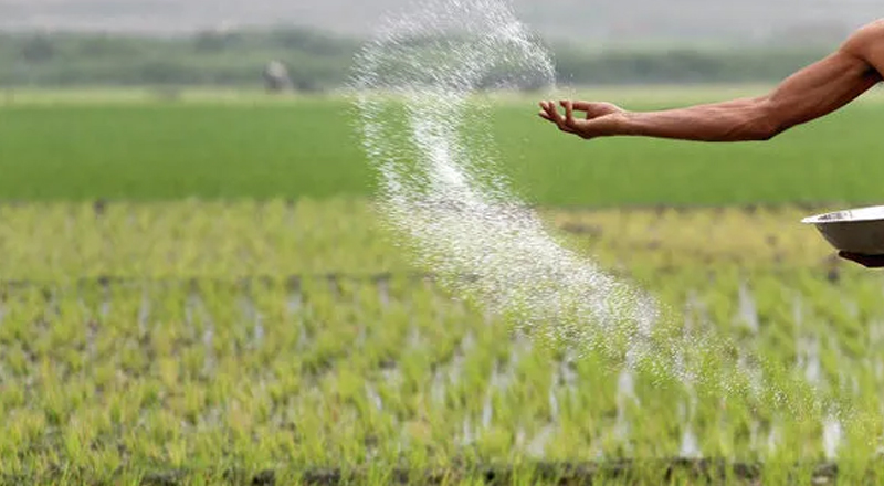 வர்த்தமானி தாமதமானதால் இரசாயன உர இறக்குமதியில் கடும் நெருக்கடி