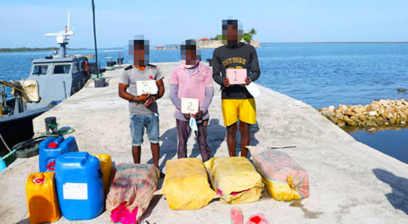 வடக்கில் 355 கிலோ கேரள கஞ்சாவுடன் மூவர் கைது