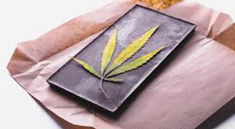 அமேசானில் கஞ்சா இலைகள் கடத்தல்..! திடுக்கிடும் தகவல்!