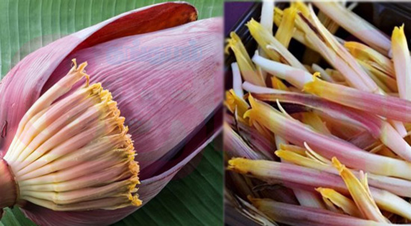 நீரிழிவு நோயை கட்டுக்குள் வைக்கும் வாழைப்பூ