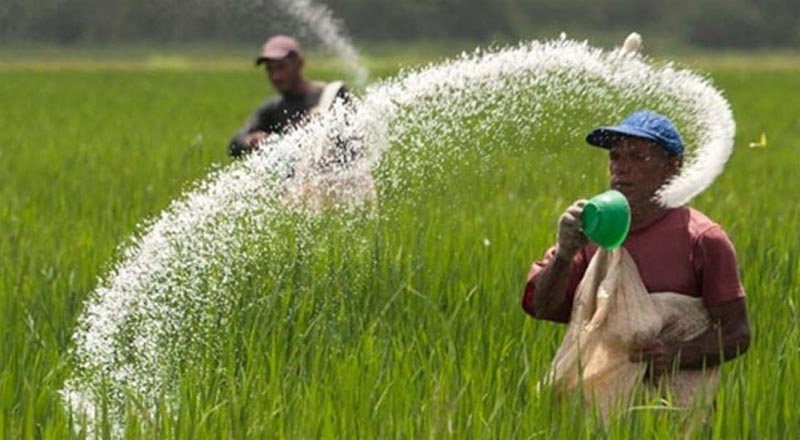 நாட்டில் நனோ உர நிறுவனத்தால் புதிய ரக உரம்!