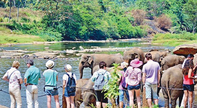 இலங்கைக்கு வரும் அதிகமான ரஸ்யர்களால் இலங்கைக்கு அதிக வருமானமா? ஆபத்தா?