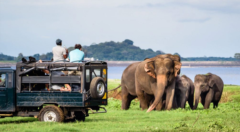 சுற்றுலாத்துறையில் ஈடுபடுபவர்களுக்கு நிவாரணம் வழங்க அவசர நிதியம்