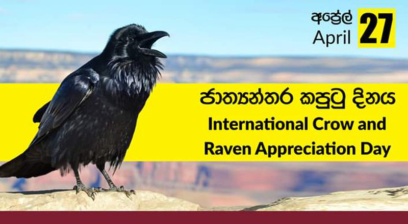 காக்கை தினத்திற்கு வாழ்த்திய கம்மன்பில! காக்கை  சகாப்தம் விரைவில் முடிவுக்கு வரட்டும் 