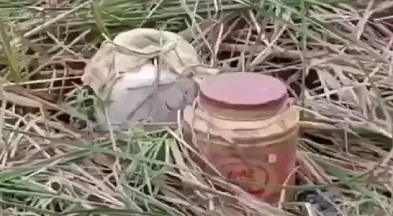 இரு வெவ்வேறு இடங்களில் மீட்கப்பட்ட மோட்டார் குண்டுகள்