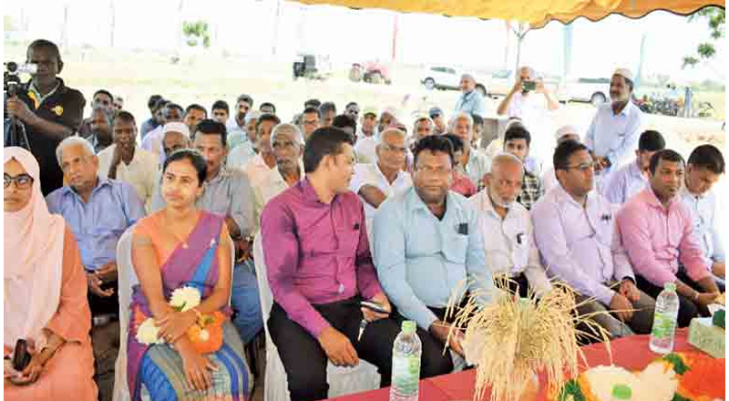 அம்பாறை மாவட்ட விவசாயிகளிடமிருந்து உத்தரவாத விலையில் நெல் கொள்வனவு