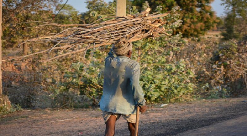 விறகு சேகரிக்க சென்ற முதியவர், தேயிலைத் தோட்டத்தில் விழுந்து உயிரிழப்பு 