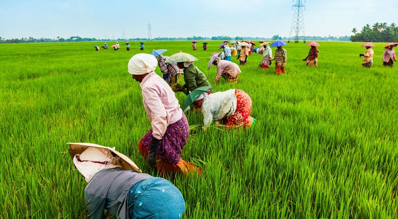 இந்தியாவும் இஸ்ரேலும் இலங்கையின் விவசாயத் துறையின் அபிவிருத்திக்காக கூட்டாக முதலீடு செய்யத் திட்டம் 