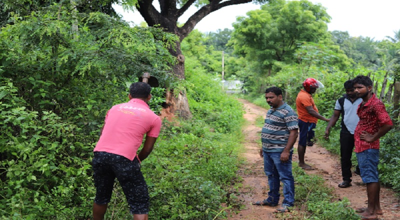  மாவீரர் நாளுக்கான ஏற்பாட்டில் ஈடுபட்டிருந்தவர்களை அச்சுறுத்தும் வகையில், சிறிலங்கா இராணுவத்தினர் விசாரணை