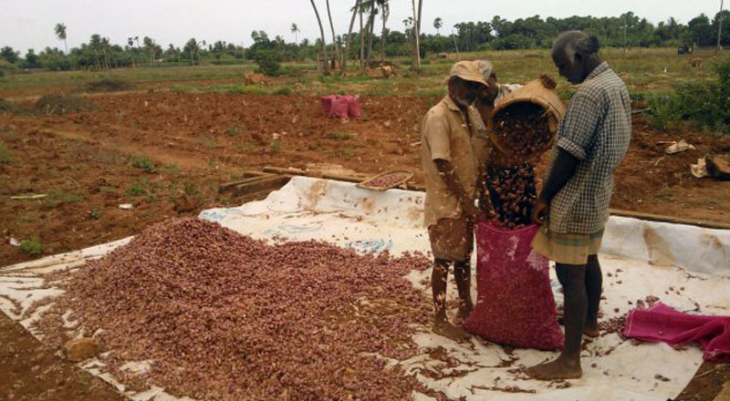 வடமாகண பொருளாதாரமும் , புலம்பெயர் தமிழர்களின் உதவியும்