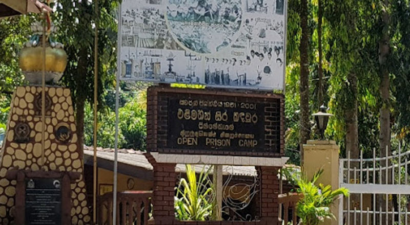 அதிகாரியின் நாய்களை பராமரிக்கும் பல்லேகல சிறைச்சாலை கைதிகள்
