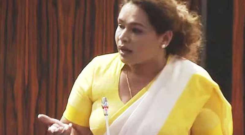 வரவு செலவுத் திட்ட முன்மொழிவினால் மகிழ்ச்சியடைந்த டயானா கமகே!