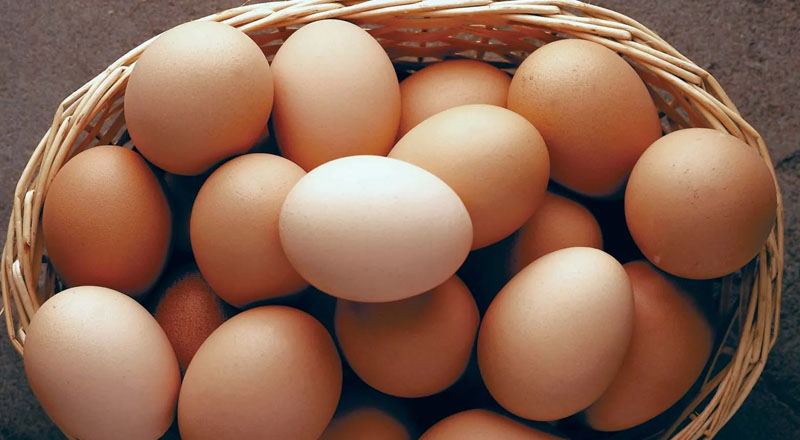 முட்டை வியாபாரிகளுக்கு 12 இலட்சம் அபராதம் விதித்த நீதிமன்றம்!