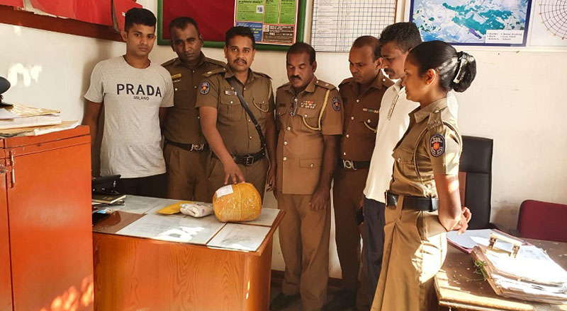 நெல்லியடியில் கஞ்சாவுடன் ஒருவர் கைது!