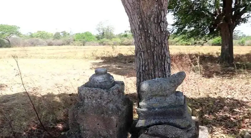 வடக்கு கிழக்கில் பௌத்த அடையாளங்கள் இருப்பதாக அடையாளப்படுத்தப்பட்டுள்ள சைவ ஆலயங்கள்