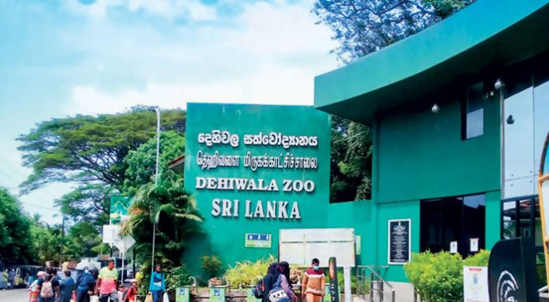 மிருகக்காட்சிசாலைகளுக்கான கட்டணங்களை அதிகரிக்க நடவடிக்கை