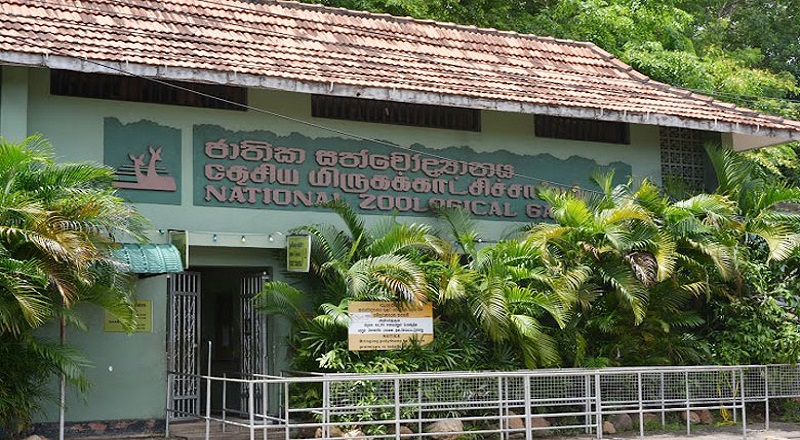 அனகொண்டாக்களுடன் புகைப்படம் எடுக்க  ரூ.500 அறவிடும்  தெஹிவளை மிருகக்காட்சிசாலை