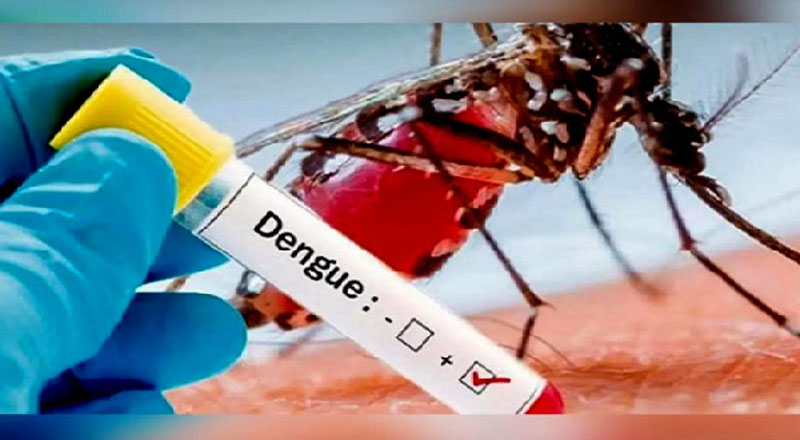 டெங்கு காய்ச்சலால் பாதிக்கப்பட்டவர்களில் 25 சதவீதம் பேர் பாடசாலை மாணவர்கள்