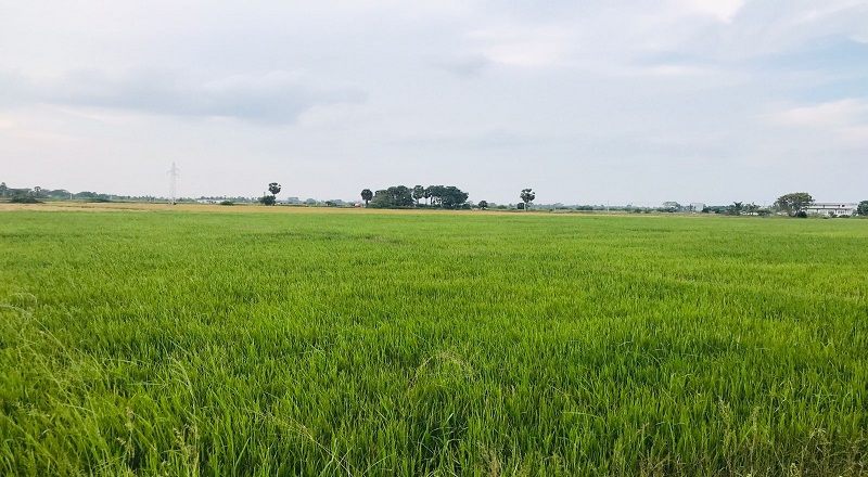 விவசாயிகளுக்கு உரம் கொள்வனவு செய்வதற்கான மானியச் வவுச்சர்கள் வழங்கும் நடவடிக்கைகள் இன்று முதல் ஆரம்பம்