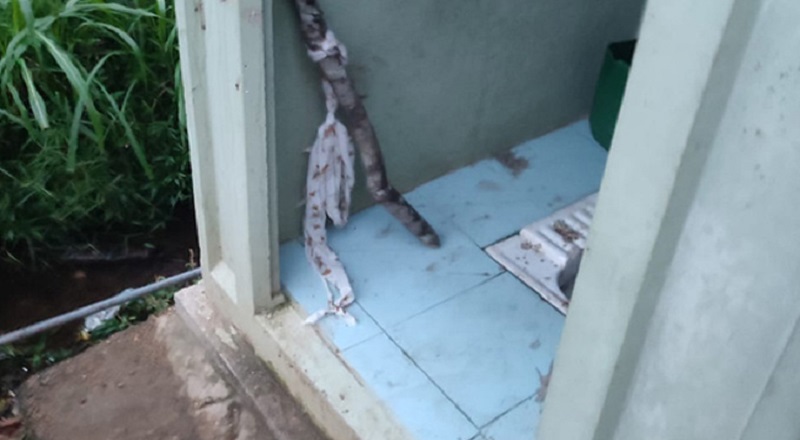 ஆறு வயதுடைய பாடசாலை மாணவரொருவர் தனது வீட்டின் கழிவறையில் தற்கொலை