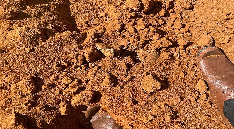 முல்லைத்தீவு மனித புதைகுழியும் தமிழர்களுக்கு ஏற்பட்டுள்ள அச்சமும்