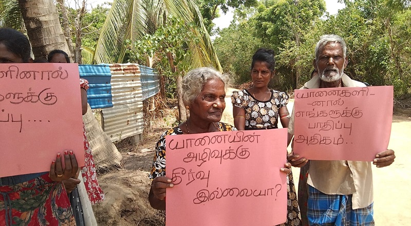 காட்டு யானைகளின் அச்சுறுத்தலில் இருந்து பாதுகாக்க கோரி மக்கள் ஆர்ப்பாட்டம்