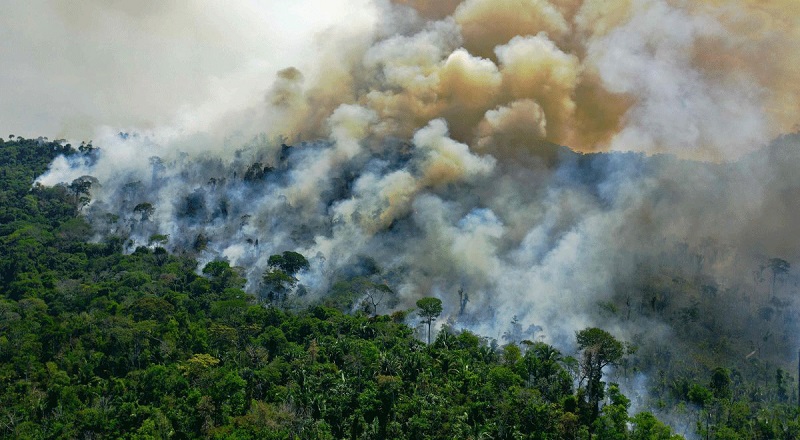 பாரிய சுற்றாடல் அழிவை ஏற்படுத்திக் கொண்டிருக்கும் அரசாங்கம்: வெளியான அதிர்ச்சி தகவல்
