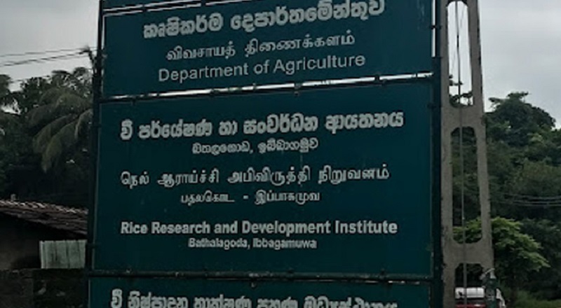 பொதுமக்களின் பார்வைக்காக திறந்து வைக்கப்படவுள்ள  நெல் ஆராய்ச்சி நிறுவனம்!