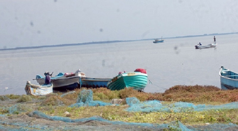 கொழும்புத்துறைமீனவர்கள் வலைகளை பிடுங்கி அகற்றியுள்ள நீரியல்வளத்துறை உதவிப் பணிப்பாளர்
